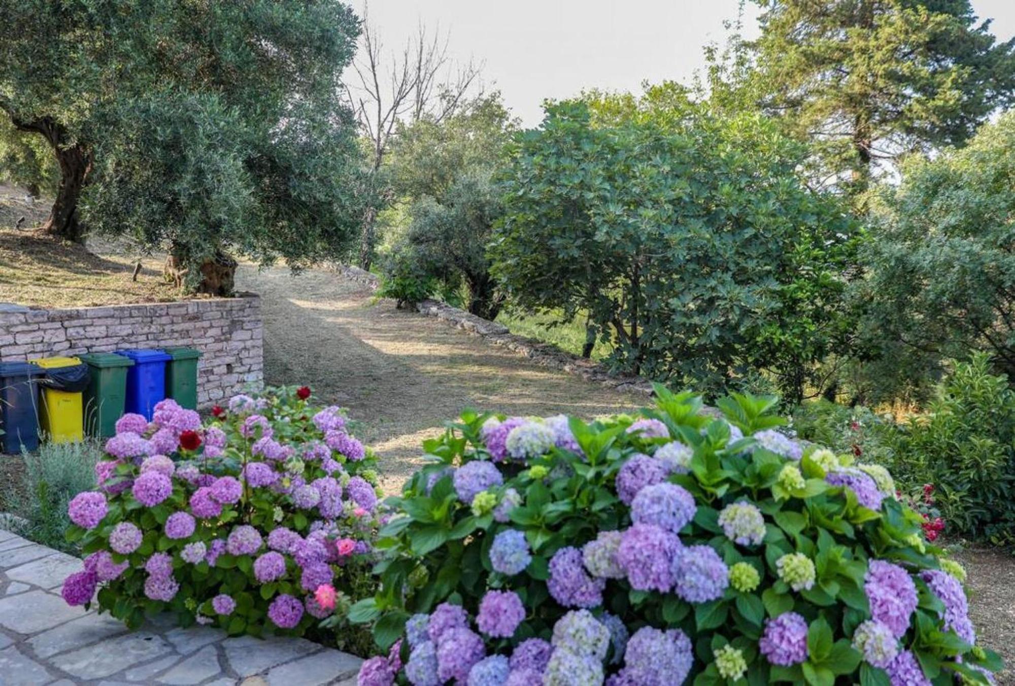Sinies Stone Cottage - Ne Corfu Agnítsini Dış mekan fotoğraf